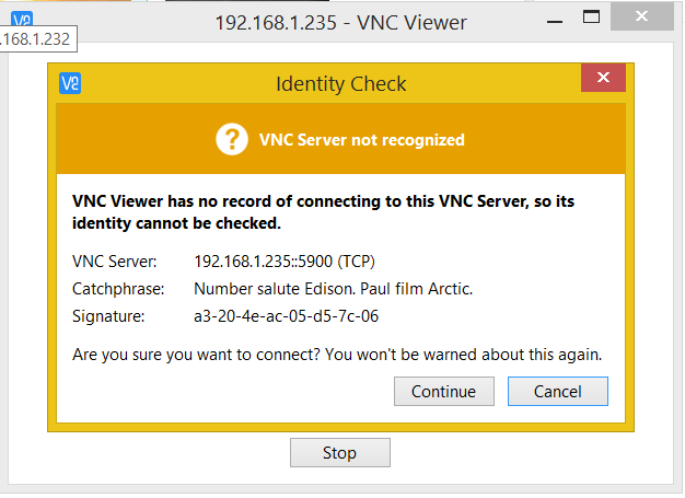 VNC Server identity check