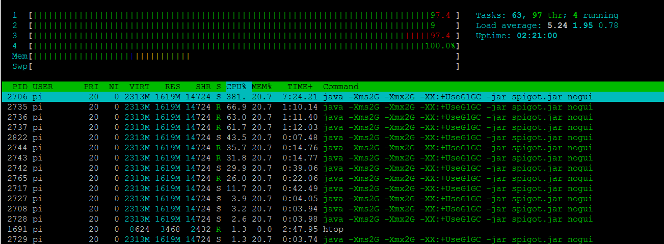 G task. Htop. Spigot config. Spigot чтение config. CPU load.